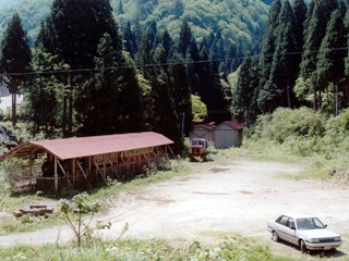 ogoya